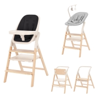 Стульчик для кормления Carrello Ergo CRL-16701 4 в 1 Obsidian Black