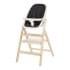 Стульчик для кормления Carrello Ergo CRL-16701 4 в 1 Obsidian Black