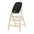 Стульчик для кормления Carrello Ergo CRL-16701 4 в 1 Obsidian Black