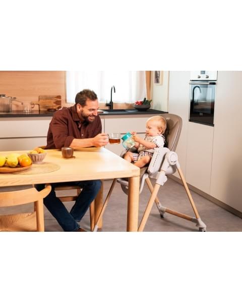 Стульчик для кормления Chicco Polly Armonia, Scandinavian (Коричневый)