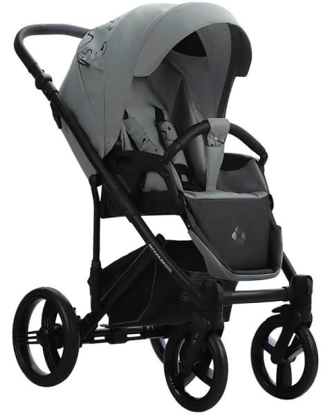 Детская коляска Bebetto Magnum Light SE 2 в 1 09 шалфей, черная рама