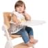 Стульчик для кормления Chicco Meraviglia растущий Fossil