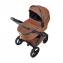 Детская коляска 3 в 1 Anex l/type, Hazel / Ореховый (lt-11t)
