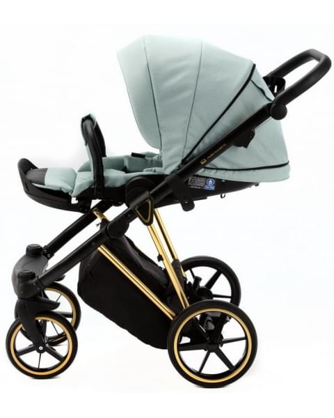Детская коляска Adamex Belissa Special Edition 2 в 1 B-PS548 (СЕР-ЗЕЛ.ТК ЗОЛОТ.РАМ)
