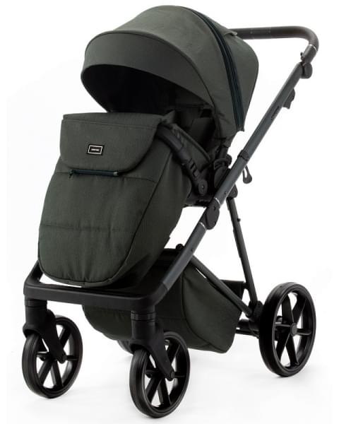 Детская коляска Adamex Delta Natura 2 в 1 DN-12-FOREST