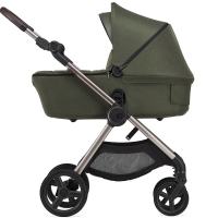 Детская коляска Anex iQ Premium NT 2 в 1 richi
