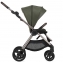 Детская коляска Anex iQ Premium NT 2 в 1 richi