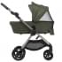 Детская коляска Anex iQ Premium NT 2 в 1 richi