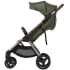 Детская коляска Anex iQ Premium NT 2 в 1 richi