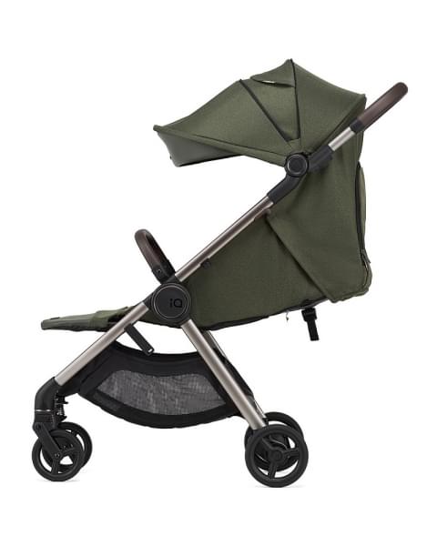 Детская коляска Anex iQ Premium NT 2 в 1 richi