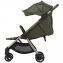 Детская коляска Anex iQ Premium NT 2 в 1 richi