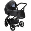 Детская коляска Noordi Fjordi V2 2 в 1 1462815 Voyager Black