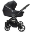 Детская коляска Noordi Fjordi V2 2 в 1 1462815 Voyager Black