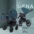 Детская коляска Rant Siena New 2 в 1 04 серый-т.бирюзовый
