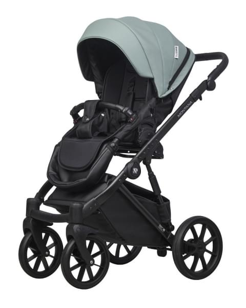 Детская коляска Riko Basic Montana Ecco 2 в 1 21 Green