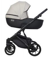 Детская коляска Riko Basic Montana Ecco 3 в 1 31 Light Silver-Black