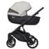 Детская коляска Riko Basic Montana Ecco 3 в 1 31 Light Silver-Black