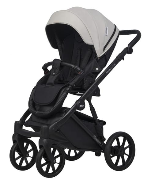 Детская коляска Riko Basic Montana Ecco 3 в 1 31 Light Silver-Black
