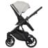 Детская коляска Riko Basic Montana Ecco 3 в 1 31 Light Silver-Black