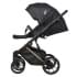 Детская коляска Riko Basic Montana Premium Gold 2 в 1 02 Black