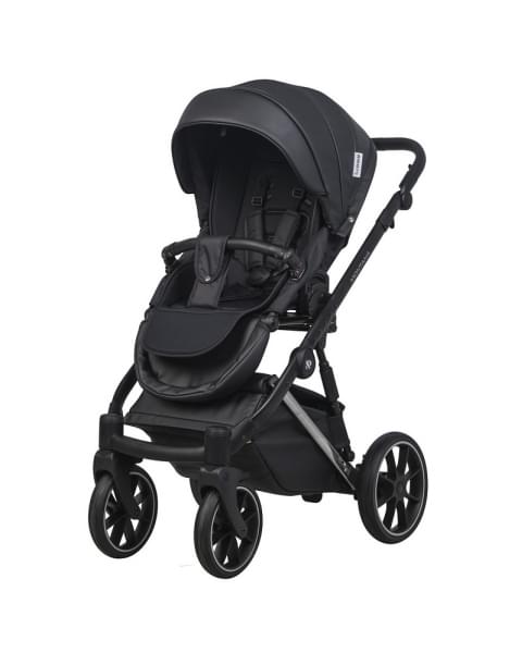 Детская коляска Riko Basic Montana Premium Silver 2 в 1 22 Black
