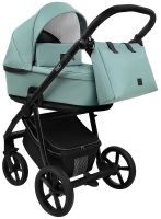 Детская коляска Roan Esso 2025 Кожа 2 в 1 ESSK/214/1 Misti Mint/Grey/руч.Черный