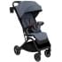 Детская прогулочная коляска Pituso Ice IC/002 Graphite