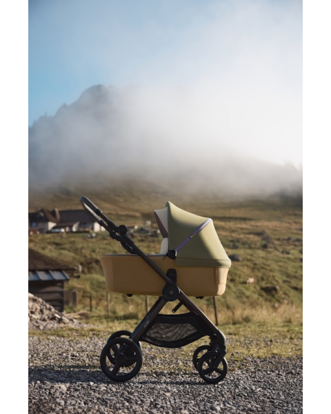 Детская коляска Anex iQ Premium Special Edition 2 в 1 Hugg