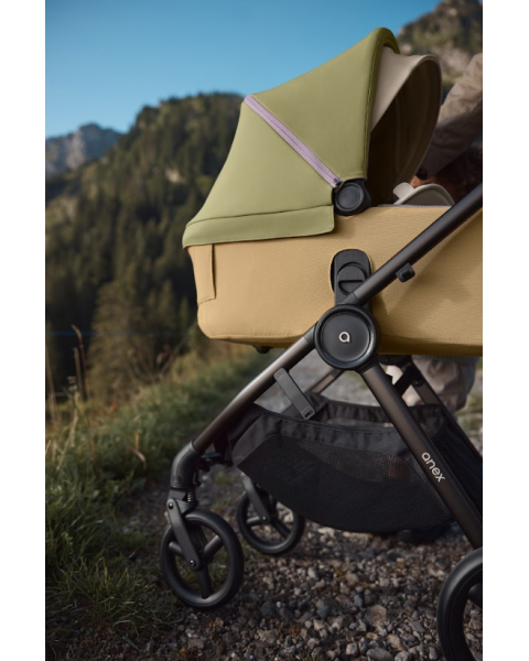 Детская коляска Anex iQ Premium Special Edition 2 в 1 Hugg