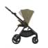 Детская коляска Anex iQ Premium Special Edition 2 в 1 Hugg