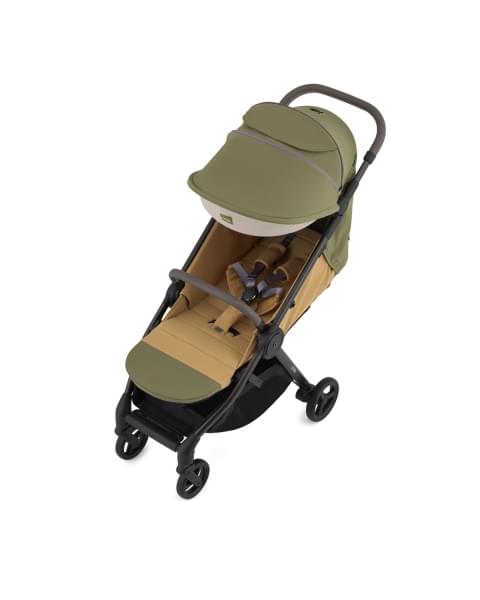 Детская коляска Anex iQ Premium Special Edition 2 в 1 Hugg