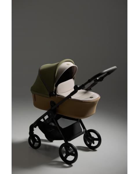 Детская коляска Anex iQ Premium Special Edition 2 в 1 Hugg