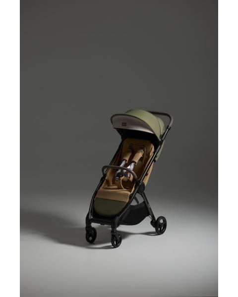 Детская коляска Anex iQ Premium Special Edition 2 в 1 Hugg