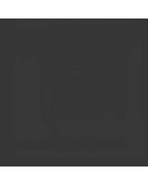 Коляска 2 в 1 Carrello Alfa 2025 CRL-6522 Rock Black