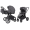 Коляска 2 в 1 Carrello Epica 2026 CRL-8510 Iron Grey