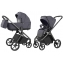 Коляска 2 в 1 Carrello Vector 2025 CRL-6551 Ultimate Grey