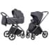 Коляска 2 в 1 Carrello Vector CRL-6550 Landscape Grey