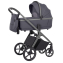 Коляска 2 в 1 Carrello Vector CRL-6550 Landscape Grey
