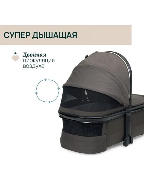 Коляска 2 в 1 Chicco Mysa, Bronze Lizard Re Lux (Коричневый)
