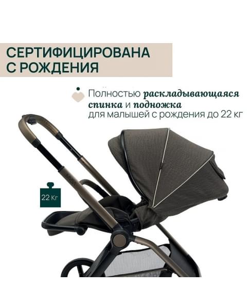 Коляска 2 в 1 Chicco Mysa, Bronze Lizard Re Lux (Коричневый)