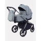 Коляска 2 в 1 Rant Flex Soft Therm Forest green 2025