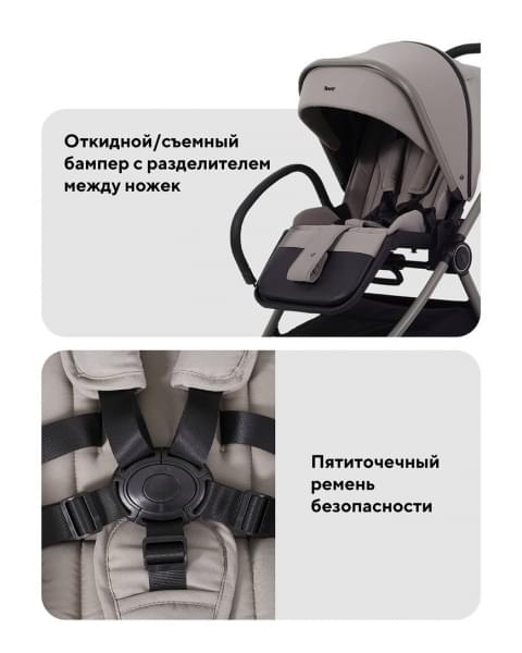 Коляска 2 в 1 Rant Teo Soft Cloud