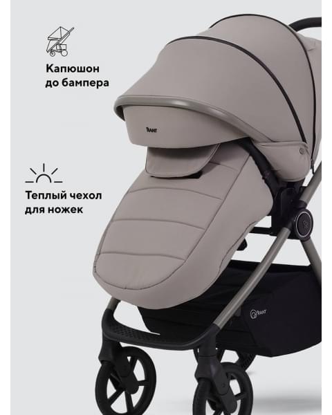 Коляска 2 в 1 Rant Teo Soft Cloud