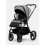 Коляска 2 в 1 Rant Teo Soft Grey