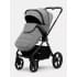 Коляска 2 в 1 Rant Teo Soft Grey