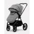 Коляска 2 в 1 Rant Teo Soft Grey