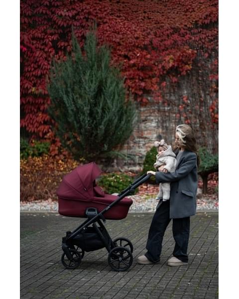Коляска 2 в 1 Tutis Leo 3+, Burgundy (220)