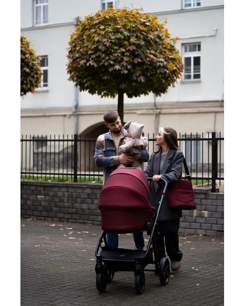 Коляска 2 в 1 Tutis Leo 3+, Burgundy (220)