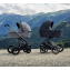 Коляска 3 в 1 Agex Prima 4x4, Black (Черный)