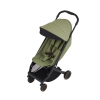 Коляска прогулочная Anex Air-X2, Vert (new Ax2-03)